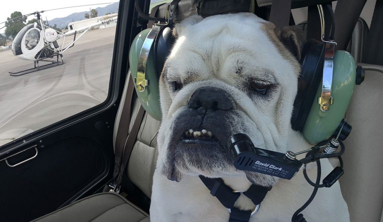 tmp 600c81a2001f4 768x445