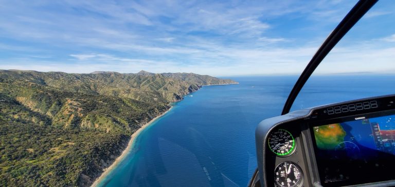 tmp 6014d5703a288 768x364