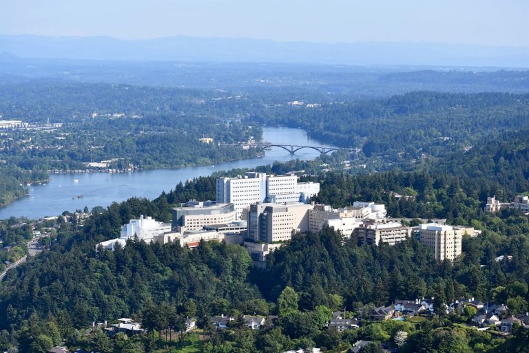 tmp 607a384c91dde 768x513