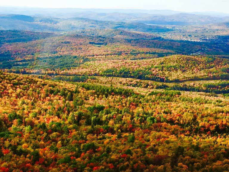 tmp 616a29117566d 768x576