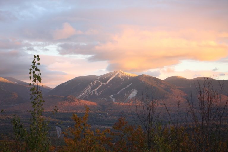 tmp 616a2911b1b29 768x512