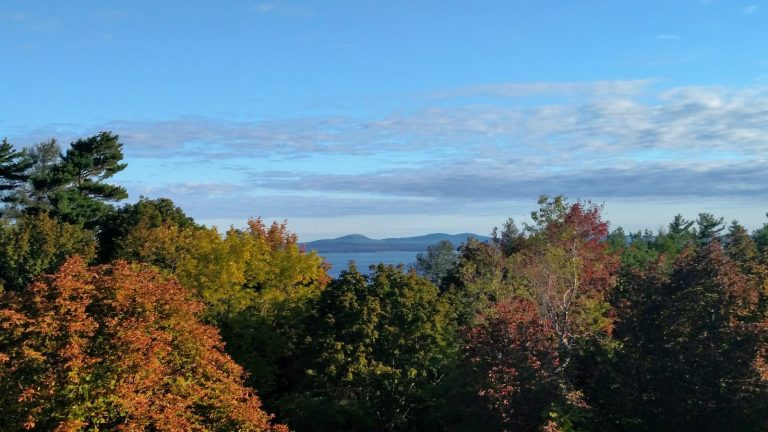 tmp 616f8a9205815 768x432