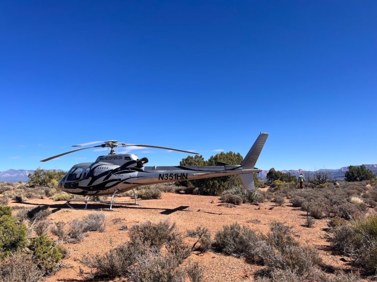 tmp 62d1f600e2189 768x576