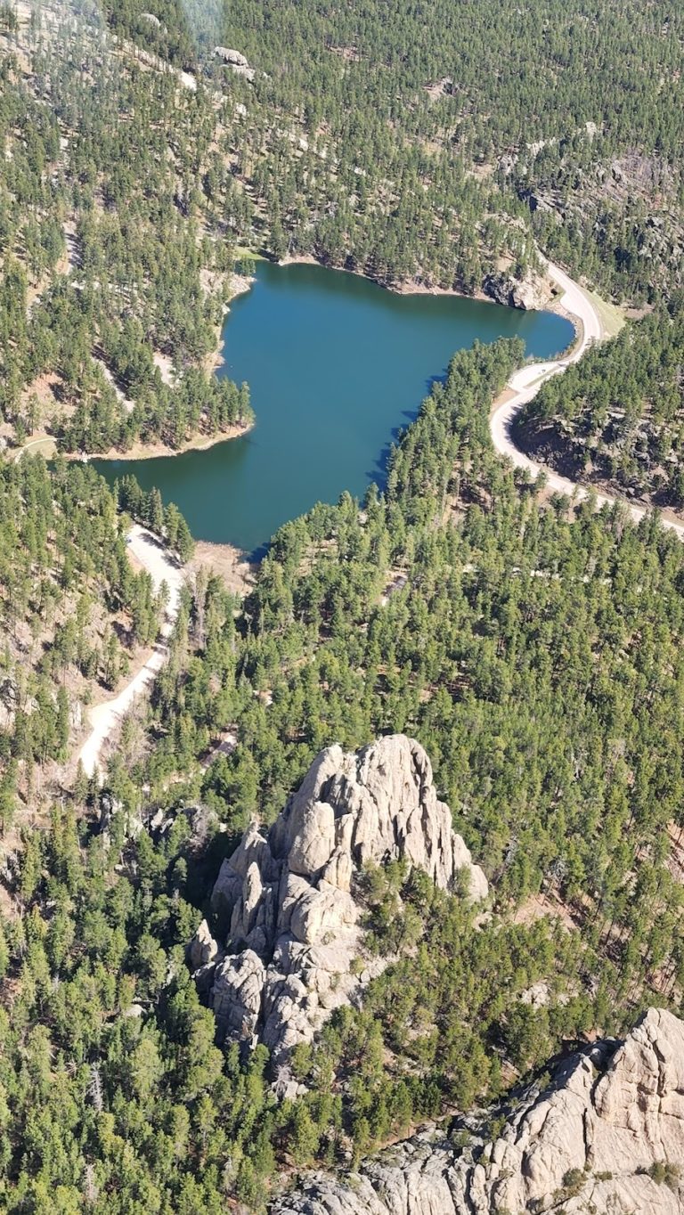 tmp 62d6eebd9546d 768x1364