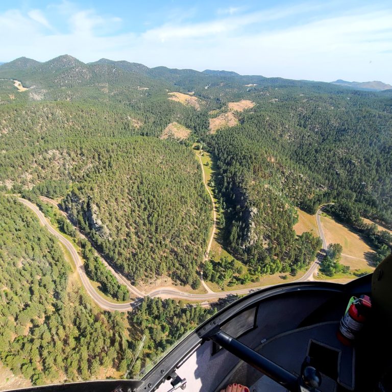 tmp 62d6eebda378e 768x768