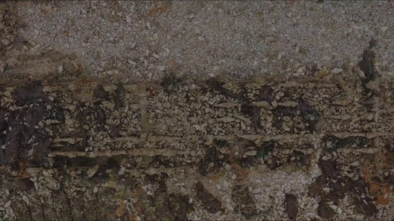 Movie0067 2.0000002 768x432