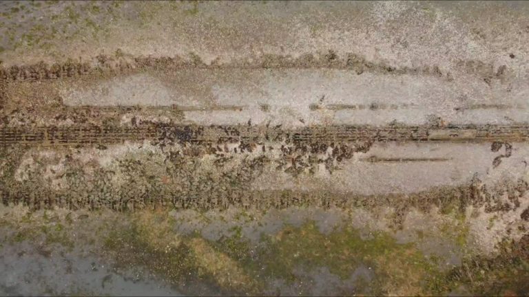 Movie0067 2.0000003 768x432