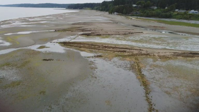 Movie0067 2.0000004 768x432