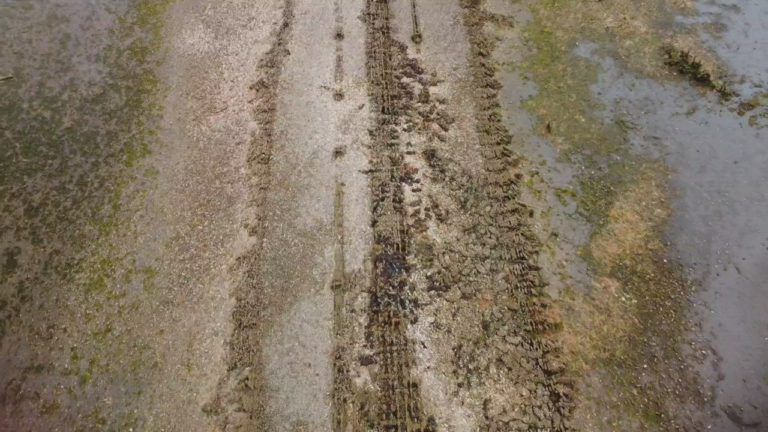 Movie0067 2.0000005 768x432