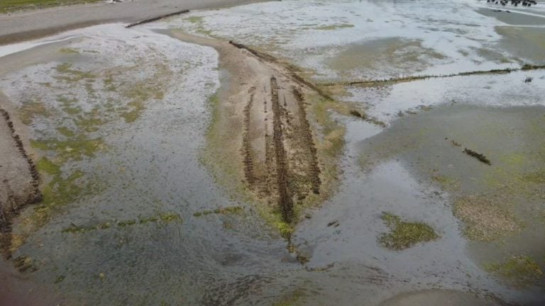 Movie0067 2.0000006 768x432