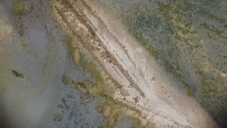 Movie0067 2.0000008 768x432