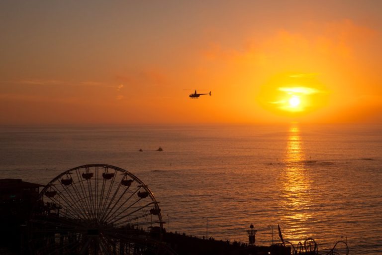 tmp 63a9fb11aab46 768x512