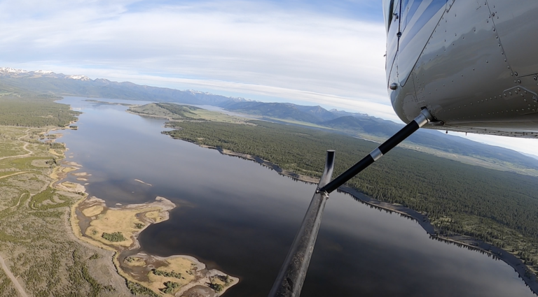 tmp 63d2384a7a529 768x425