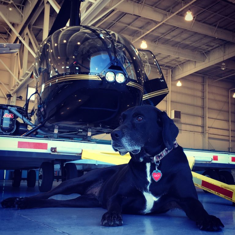 tmp 64472d376d9a3 768x768