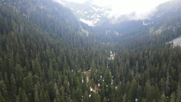 dji export 20230521 235621 1684738581234 editor.0000005 768x432