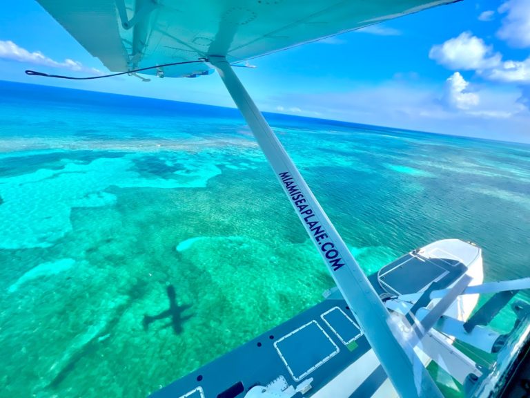 tmp 651e33637b491 768x576