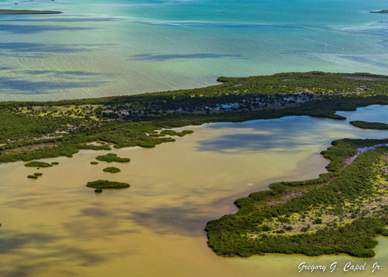 tmp 651e336384d0c 768x548