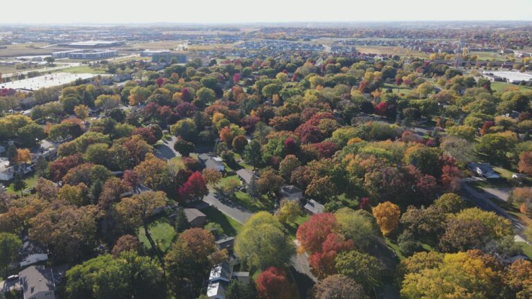 Auto Draft 6649a650591ef 768x432