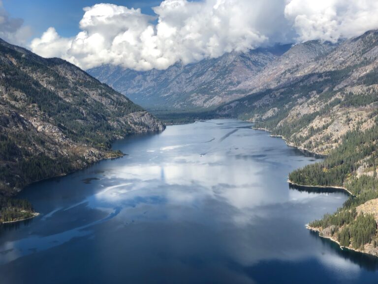 tmp 66529b3ea2d90 768x576