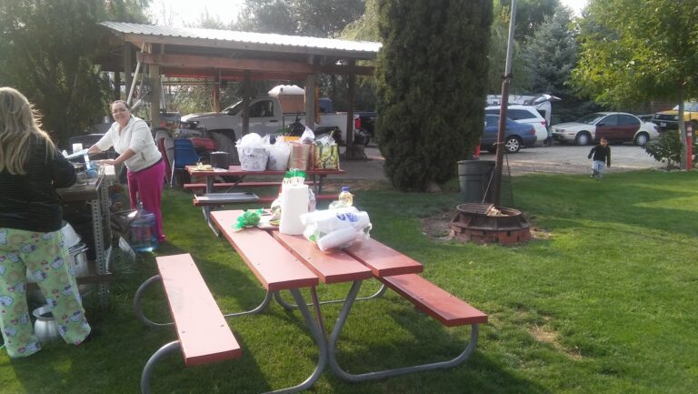 tmp 66529b534ae30 768x433