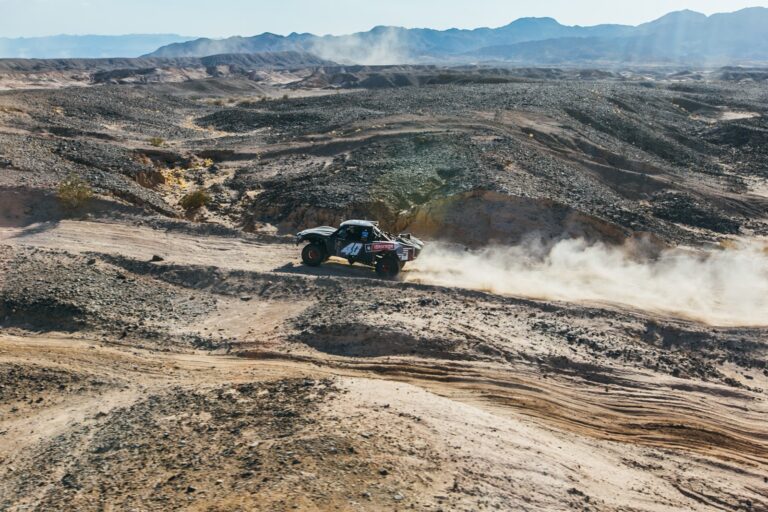 tmp 6695bd78442c8 768x512