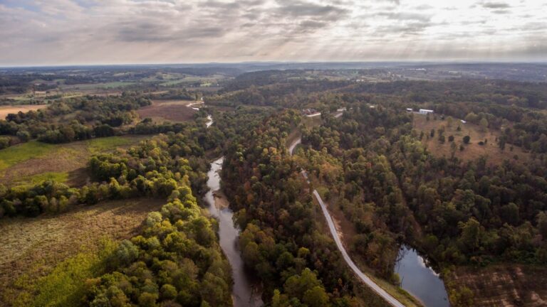 tmp 66e1dd099a947 768x432