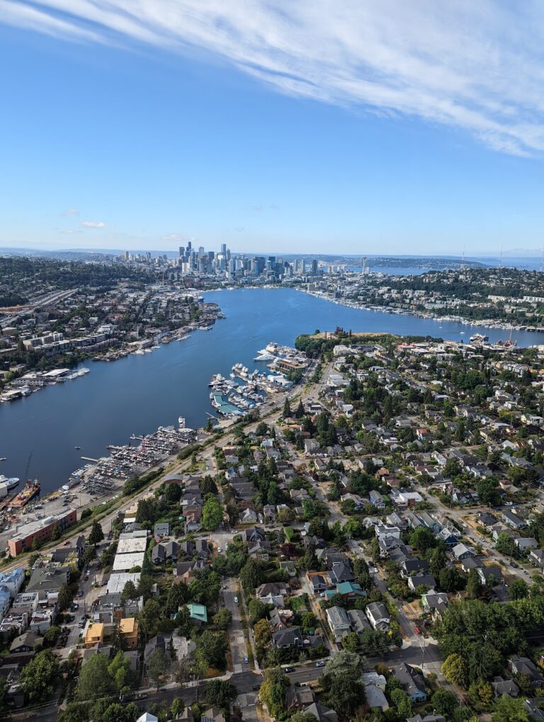 tmp 674890bf17b6f 768x1020